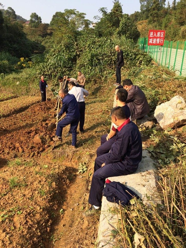 自耕自種，豐富職工業(yè)余生活