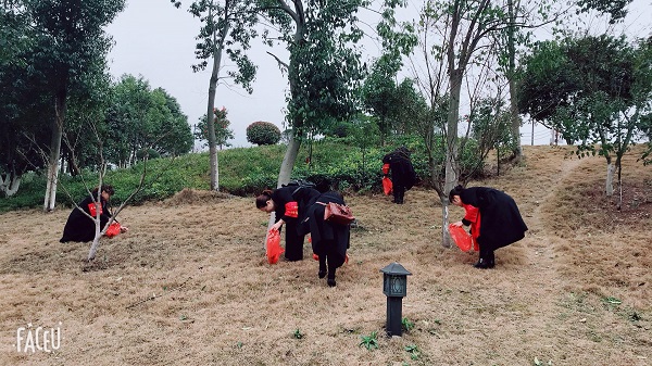 我們的節(jié)日：三八婦女節(jié)，賢母園開(kāi)展活動(dòng)